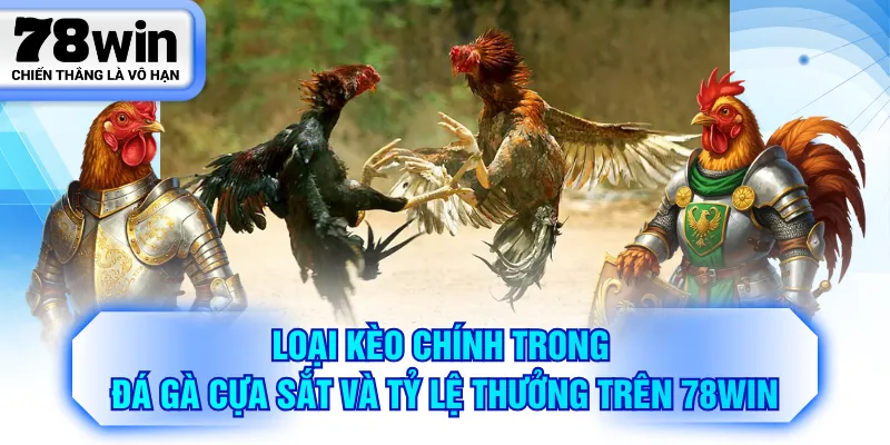 Loại kèo chính trong đá gà cựa sắt và tỷ lệ thưởng trên 78WIN